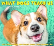 Buy What Dogs Teach Us 2027 Box Calendar