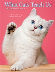 Buy What Cats Teach Us 2027 Engagement Calendar