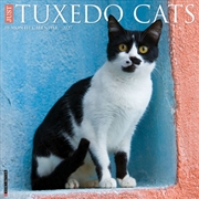 Buy Tuxedo Cats 2027 Wall Calendar