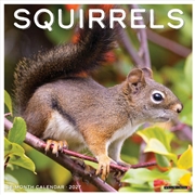 Buy Squirrels 2027 Wall Calendar