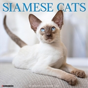 Buy Siamese Cats 2027 Wall Calendar