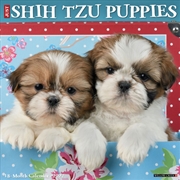 Buy Shih Tzu Puppies 2027 Wall Calendar