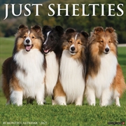 Buy Shelties 2027 Wall Calendar