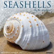 Buy Seashells 2027 Wall Calendar