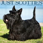 Buy Scotties 2027 Wall Calendar