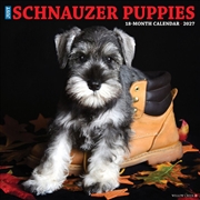 Buy Schnauzer Puppies 2027 Wall Calendar
