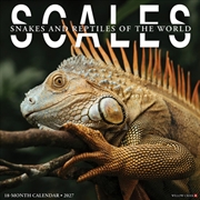 Buy Scales 2027 Wall Calendar