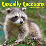 Buy Rascally Raccoons 2027 Wall Calendar