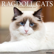 Buy Ragdoll Cats 2027 Wall Calendar