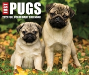 Buy Pugs 2027 Box Calendar