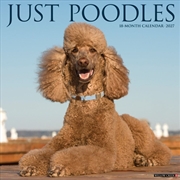 Buy Poodles 2027 Wall Calendar