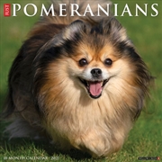 Buy Pomeranians 2027 Wall Calendar
