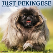 Buy Pekingese 2027 Wall Calendar