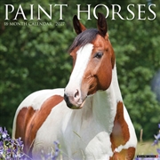 Buy Paint Horses 2027 Wall Calendar