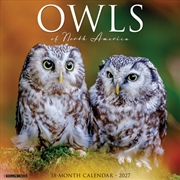Buy Owls of North America 2027 Wall Calendar