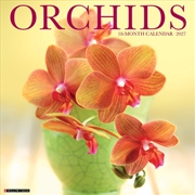 Buy Orchids 2027 Wall Calendar