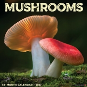 Buy Mushrooms 2027 Wall Calendar