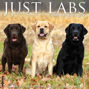 Buy Labs 2027 Wall Calendar