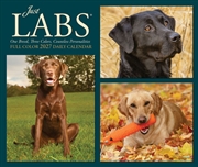 Buy Labs 2027 Box Calendar