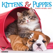 Buy Kittens & Puppies 2027 Wall Calendar