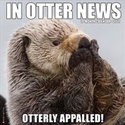 Buy In Otter News 2027 Wall Calendar