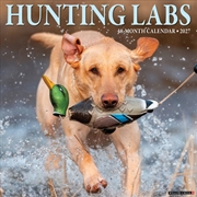 Buy Hunting Labs 2027 Wall Calendar