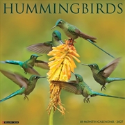 Buy Hummingbirds 2027 Wall Calendar