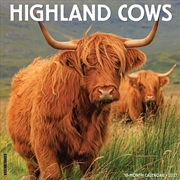 Buy Highland Cows 2027 Wall Calendar