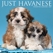 Buy Havanese 2027 Wall Calendar
