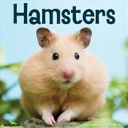 Buy Hamsters 2027 Wall Calendar