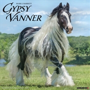 Buy Gypsy Vanner Horse 2027 Wall Calendar