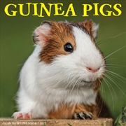 Buy Guinea Pigs 2027 Wall Calendar
