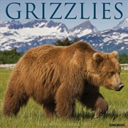 Buy Grizzlies 2027 Wall Calendar