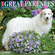 Buy Great Pyrenees 2027 Wall Calendar