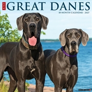 Buy Great Danes 2027 Wall Calendar