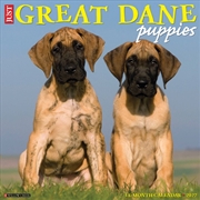 Buy Great Dane Puppies 2027 Wall Calendar