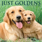 Buy Goldens 2027 Wall Calendar