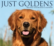 Buy Goldens 2027 Box Calendar