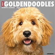 Buy Goldendoodles 2027 Wall Calendar
