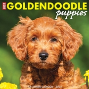 Buy Goldendoodle Puppies 2027 Wall Calendar