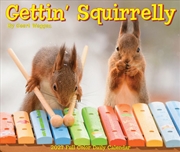 Buy Gettin' Squirrelly 2027 Box Calendar