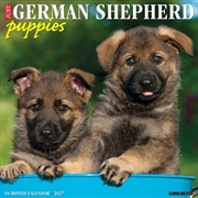 Buy German Shepherd Puppies 2027 Wall Calendar