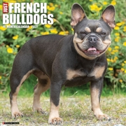 Buy French Bulldogs 2027 Wall Calendar