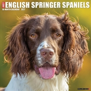 Buy English Springer Spaniels 2027 Wall Calendar