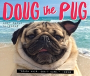 Buy Doug the Pug 2027 Box Calendar