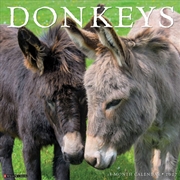 Buy Donkeys 2027 Wall Calendar