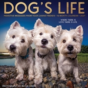 Buy Dog's Life 2027 Wall Calendar