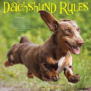 Buy Dachshund Rules 2027 Wall Calendar