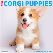 Buy Corgi Puppies 2027 Wall Calendar