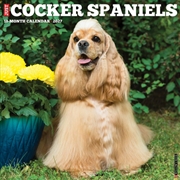 Buy Cocker Spaniels 2027 Wall Calendar